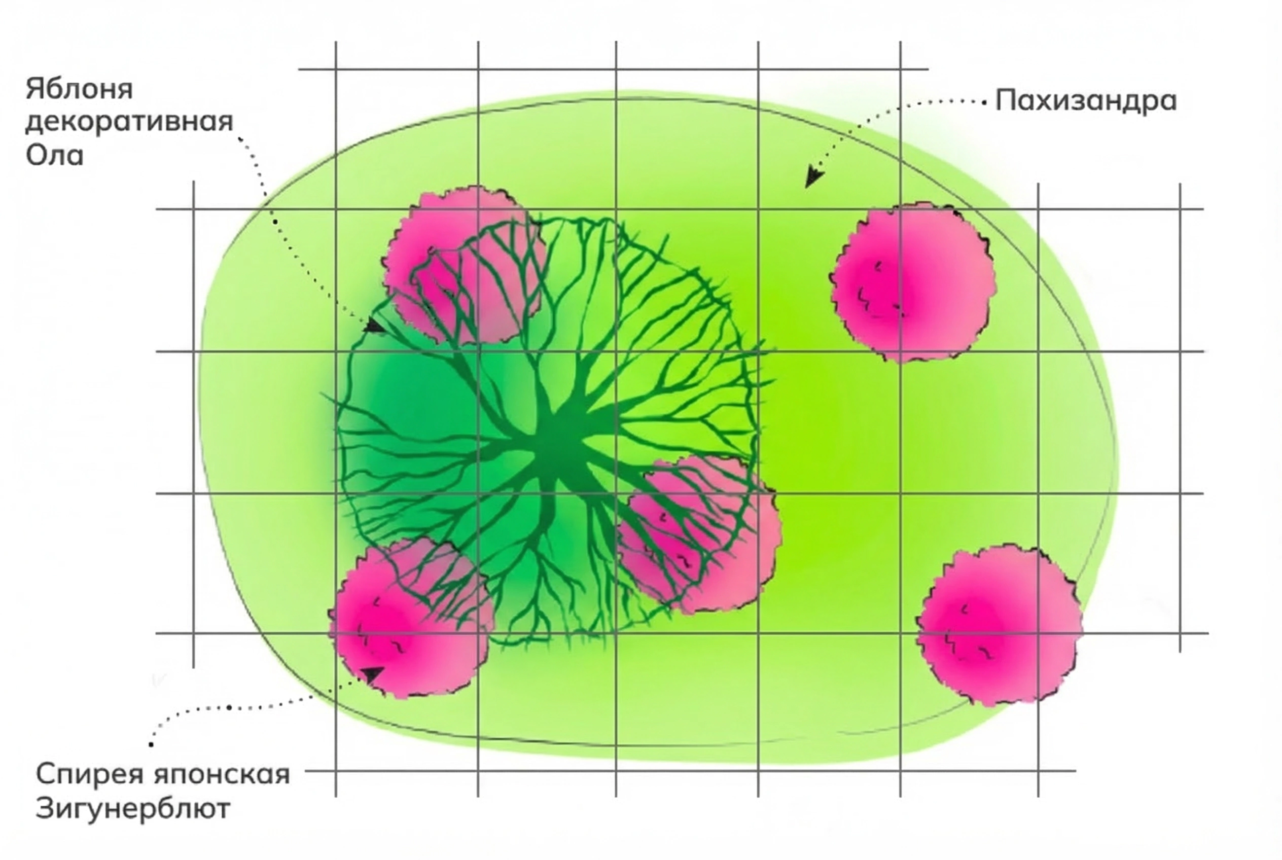 Схема клумбы Розовый сад